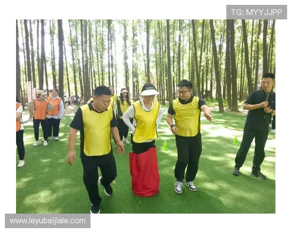 天博真人百家游戏界面优化与操作流程提升用户体验