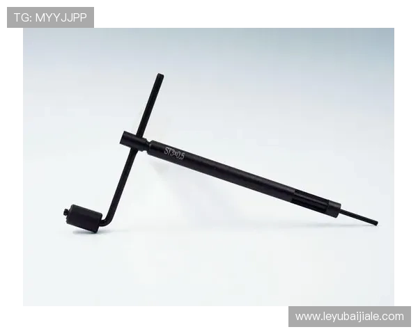 新手必看:K8凯发滚球盘入门基础知识与快速上手技巧